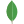 MONGODB